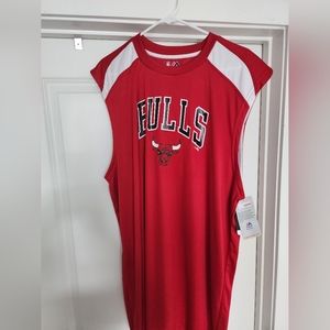 Chicago Bulls practice jersey.